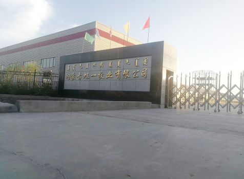 廠區(qū)環(huán)境